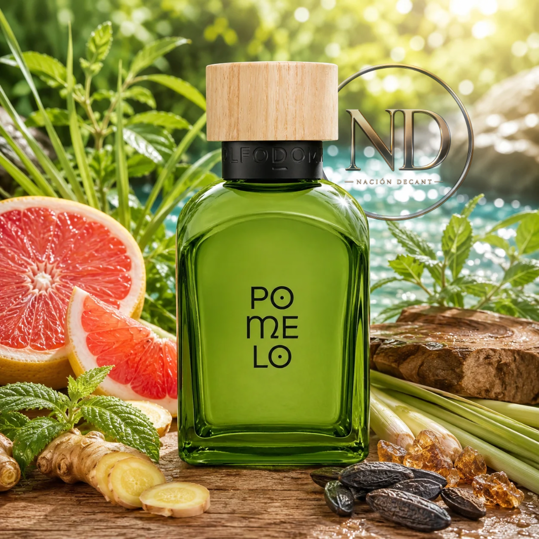 Adolfo Dominguez - Pomelo