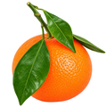 Mandarina Siciliana