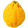 Cidra