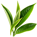 Té Verde
