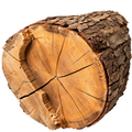 Madera Seca
